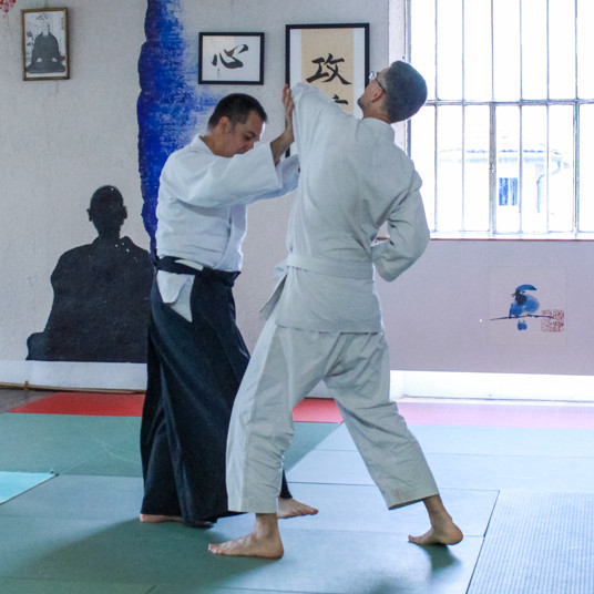 photo aïkikaï de Grenoble aïkido-iaïdo-jodo